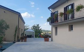 Vinea del Selvatico cascina agricola
